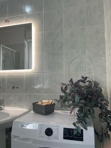 Nora House * Savona